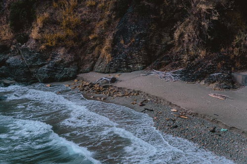 寄せては返す波と流木が散らばる海岸の風景
