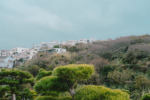 日本のアマルフィと呼ばれる和歌山県雑賀崎の丘陵地帯に立ち並ぶ住宅街