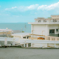 丘の上から見渡す和歌山・雑賀崎の港町と住宅密集地の風景の写真