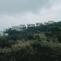 丘の上に並ぶ住宅群（雑賀崎）の写真