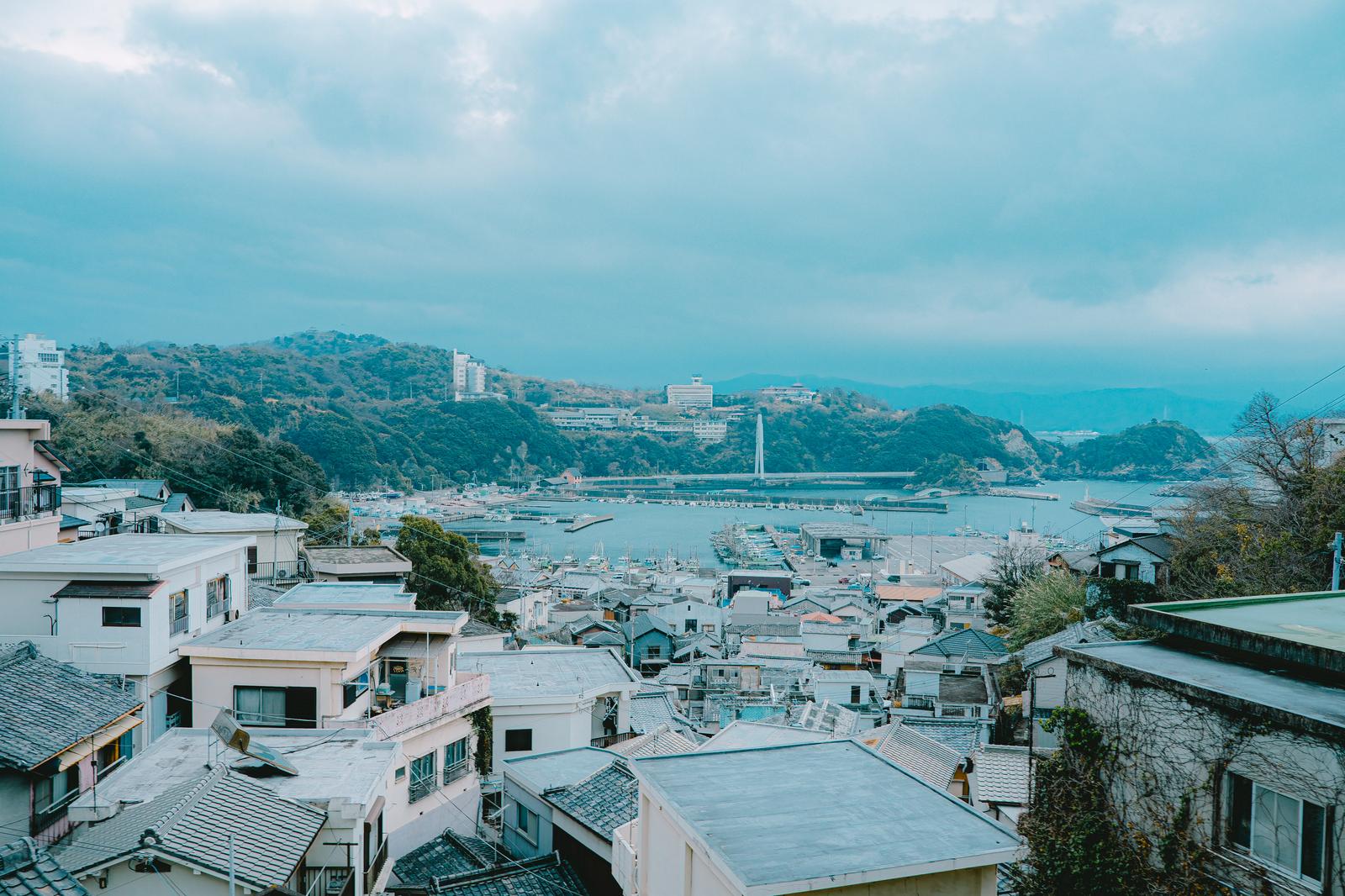 丘の上から見下ろした雑賀崎の住宅街と漁港、奥に広がる湾と山並み