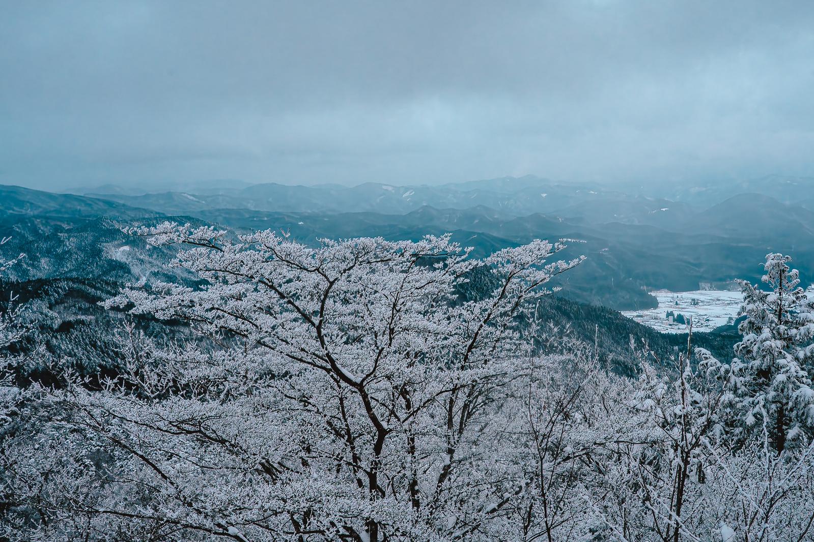 天狗棚展望台から見た霧氷に覆われた雪山と山並みの景色