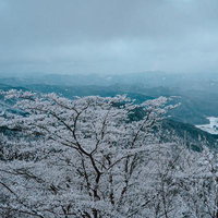 天狗棚展望台からの雪山と霧氷に覆われた木々の写真