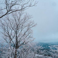 山々を見下ろす霧氷に覆われた木々の冬景色の写真