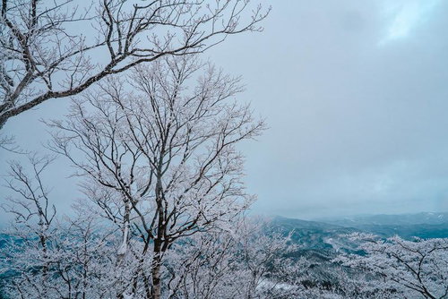 山々を見下ろす霧氷に覆われた木々の冬景色
