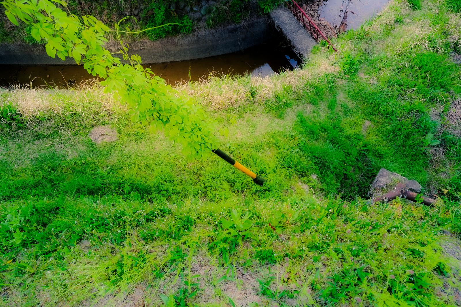 用水路脇の草地に生い茂る雑草と置かれた園芸用の道具