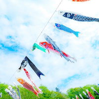 青空を泳ぐ色とりどりの鯉のぼりの写真
