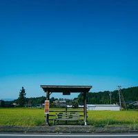 緑豊かな田舎道に佇む木製屋根のバス停と田園風景の写真