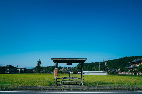 緑豊かな田舎道に佇む木製屋根のバス停と田園風景