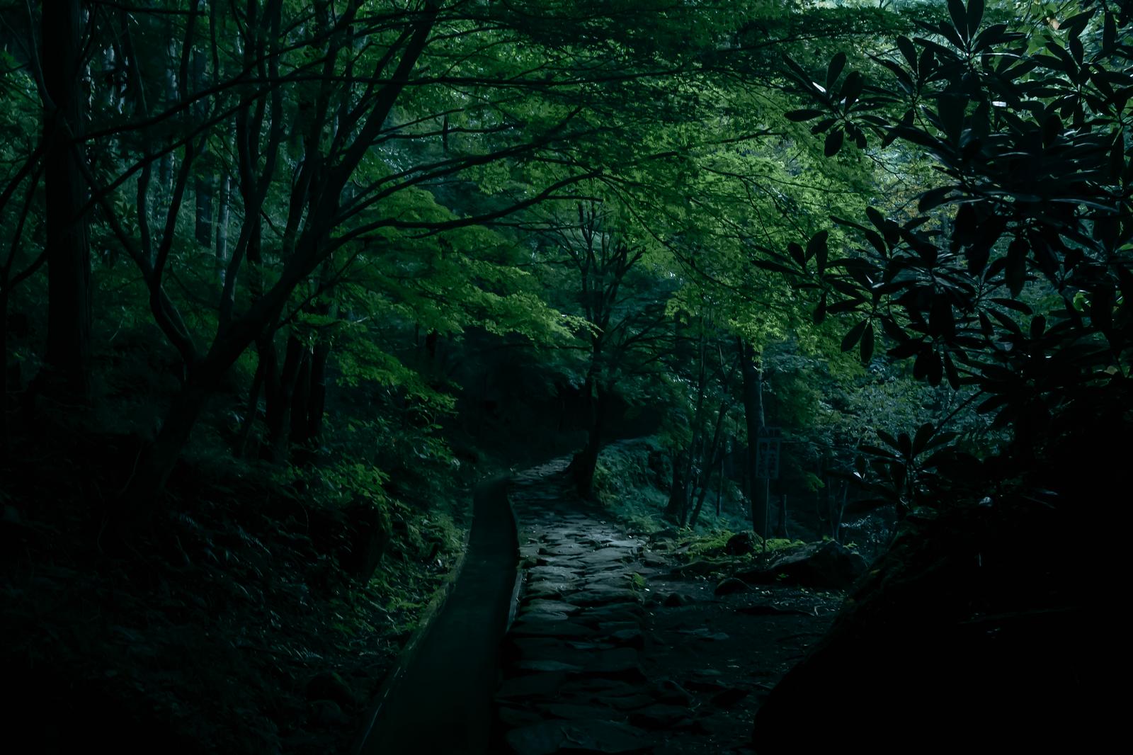 付知峡の石畳の小道が森の奥へ続く