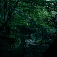 朝の付知峡の静かな石畳の小道の写真