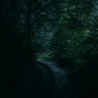 静寂に包まれた付知峡の曲がりくねった散歩道の写真