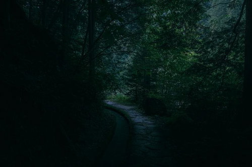 静寂に包まれた付知峡の曲がりくねった散歩道