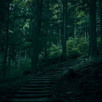 自然の中に続く奥深い付知峡の散歩道の階段の写真