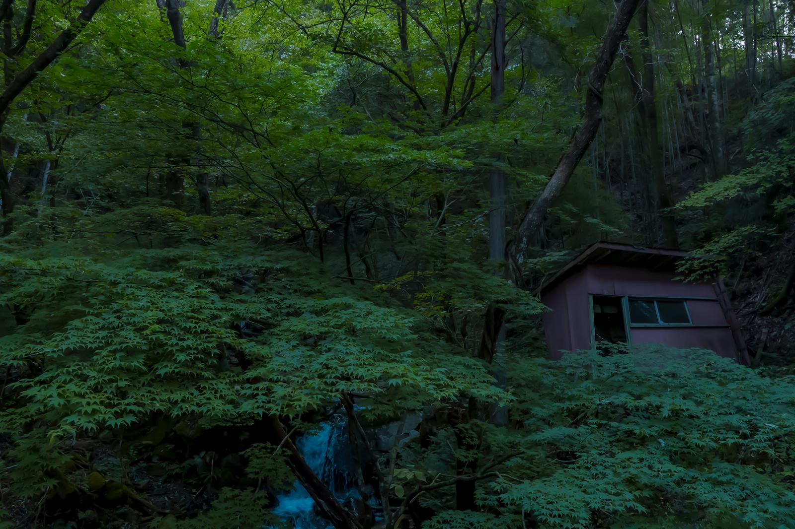 付知峡の深い森の中、樹齢の大きな樹々に囲まれ傾いた暗褐色の木造小屋