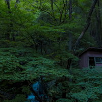 付知峡の深い森に囲まれた傾いた木造の古い小屋の写真
