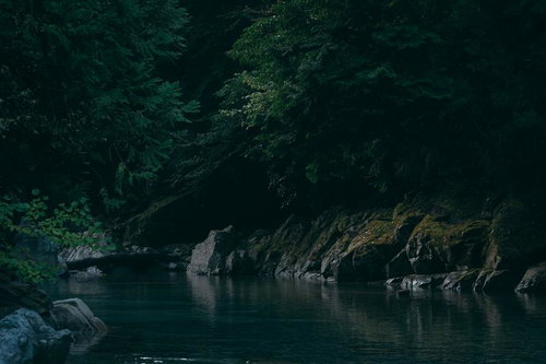 森の静けさに癒される付知峡の川辺