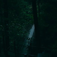 付知峡の遊歩道を覆う樹木の奥に見える吊り橋の写真