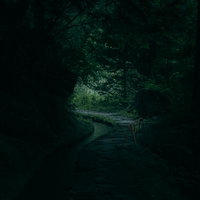 森の奥へ誘う付知峡の遊歩道と木製の橋の写真