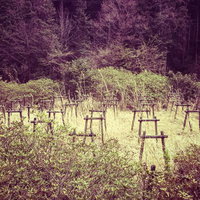 野原に立ち並ぶ木製支柱と森林の風景の写真