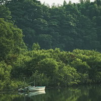 緑に囲まれた静かな水辺に浮かぶ白いボートの写真