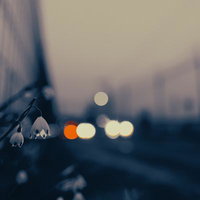 夕暮れ時のスズランスイセンと車のライトで作る玉ボケの写真