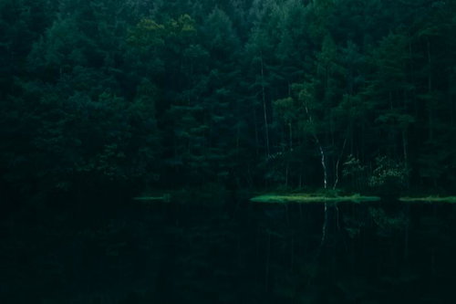 御射鹿池に映り込む深い緑の森林と湖面の静寂