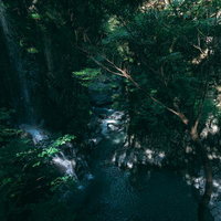 付知峡の不動滝を照らす木漏れ日と清流の渓谷風景の写真