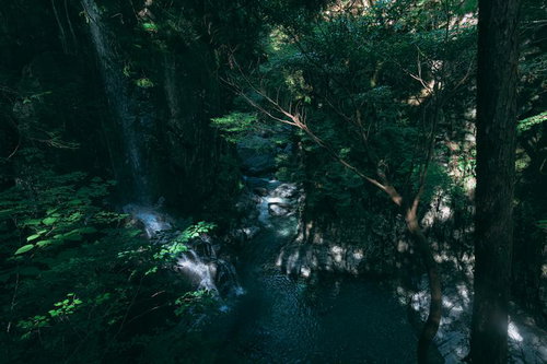 付知峡の不動滝を照らす木漏れ日と清流の渓谷風景