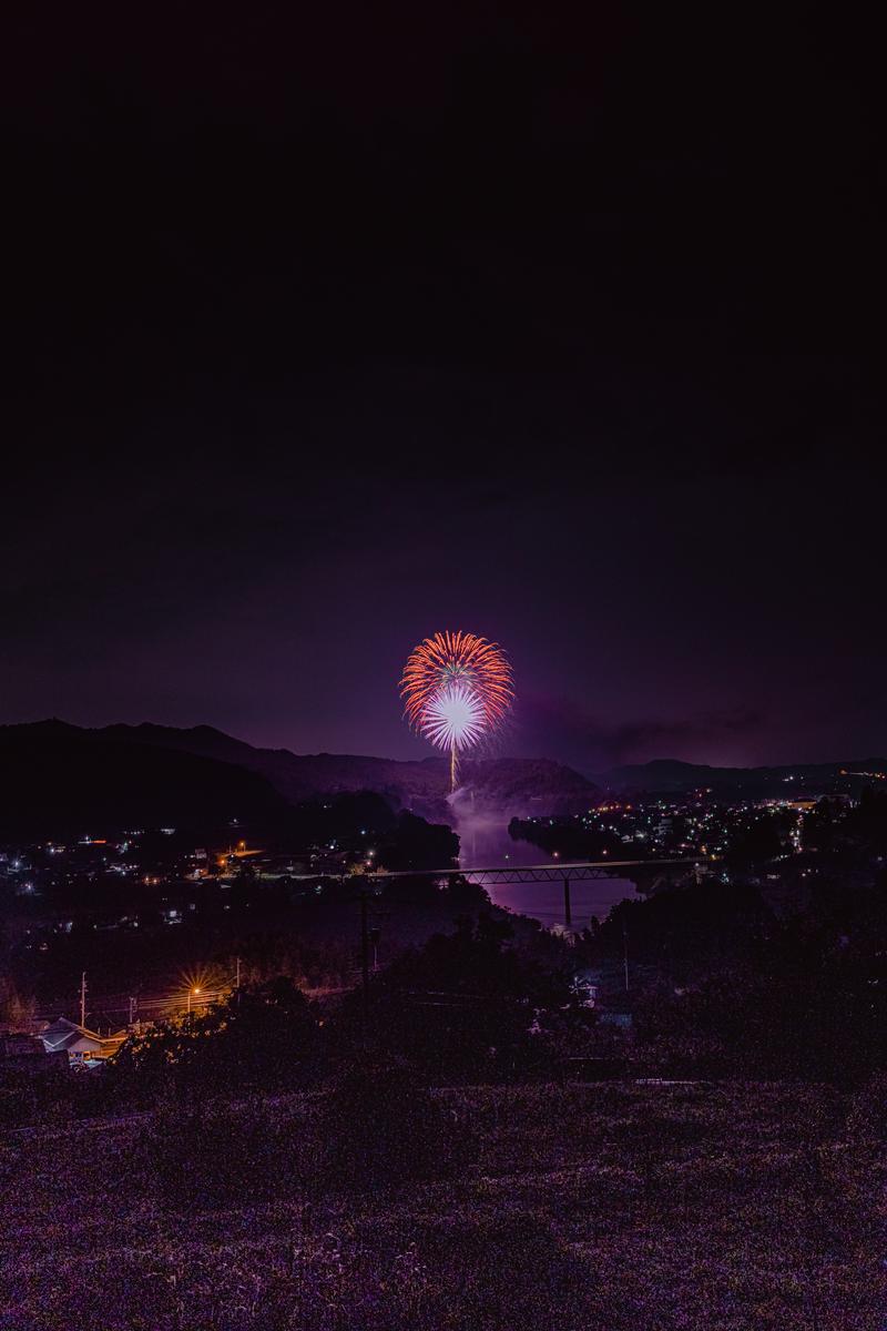 夜空に咲く紫色と赤色の花火、下方に町の夜景と河川が見える