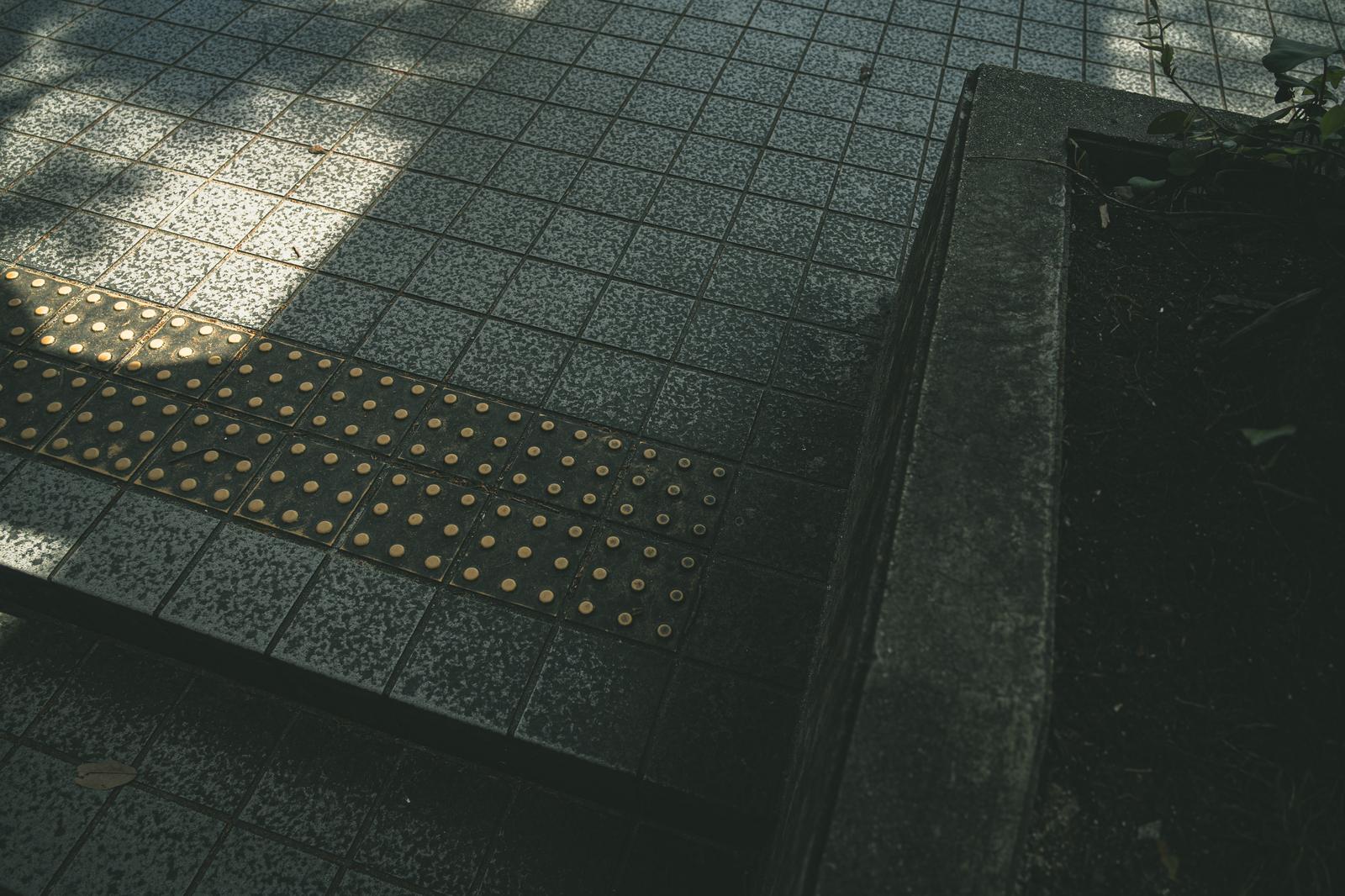 公園のアスファルトに敷設された黄色い誘導ブロックとグレーの警告ブロック