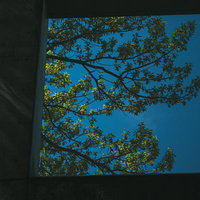 暗いコンクリートの梁から覗く新緑の枝葉と青空の写真