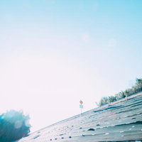 さわやかな青空と新緑の堤防、測量標識が立つ風景の写真