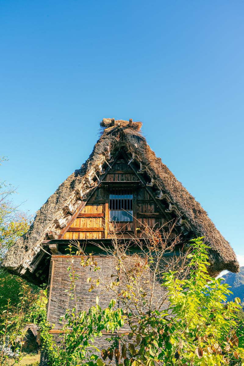 急勾配の茅葺き屋根を持つ合掌造り民家の正面、階段窓と緑の植物