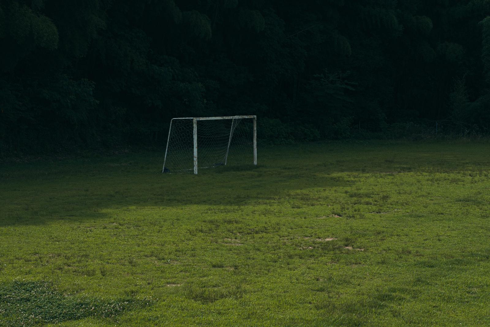 芝生の広場に立つ白いサッカーゴール、背景に深い森