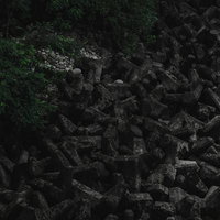 蔦が絡む暗闇に浮かび上がるテトラポッドと波消しブロックの写真