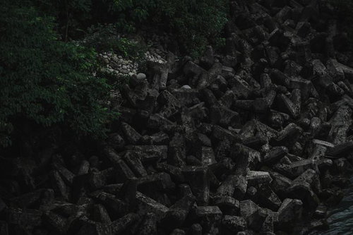 蔦が絡む暗闇に浮かび上がるテトラポッドと波消しブロック