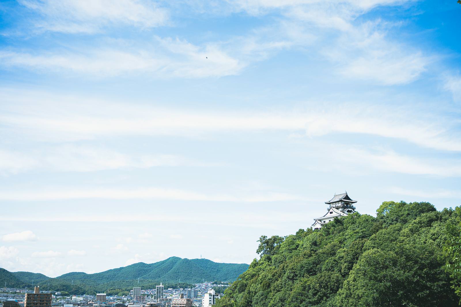 犬山城の天守閣が樹木に囲まれ青空に映える愛知県犬山市の風景