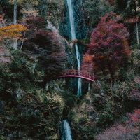 秋晴れの空の下、赤い橋からのぞむ五宝滝と紅葉の絶景の写真