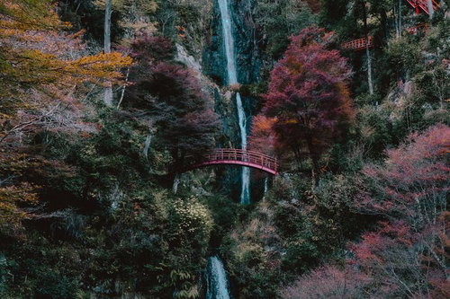 秋晴れの空の下、赤い橋からのぞむ五宝滝と紅葉の絶景