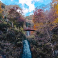 秋の五宝滝を彩る紅葉と赤い橋が映える渓谷の写真