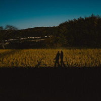 黄金色に染まる田んぼに映る2人の影の写真