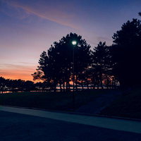 夕暮れ空と公園の街灯が灯る木々のシルエットの写真
