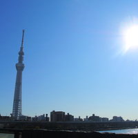 太陽光が降り注ぐスカイツリーと東京の街並みの写真