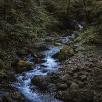 三頭山の渓谷を流れる小川と岩場・苔むした岩肌の自然風景の写真