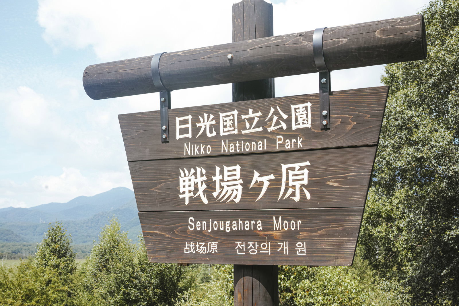 戦場ヶ原と書かれた日光国立公園の木製案内看板