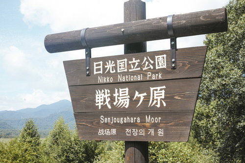 日光国立公園の戦場ヶ原を示す木製看板とハイキングコース