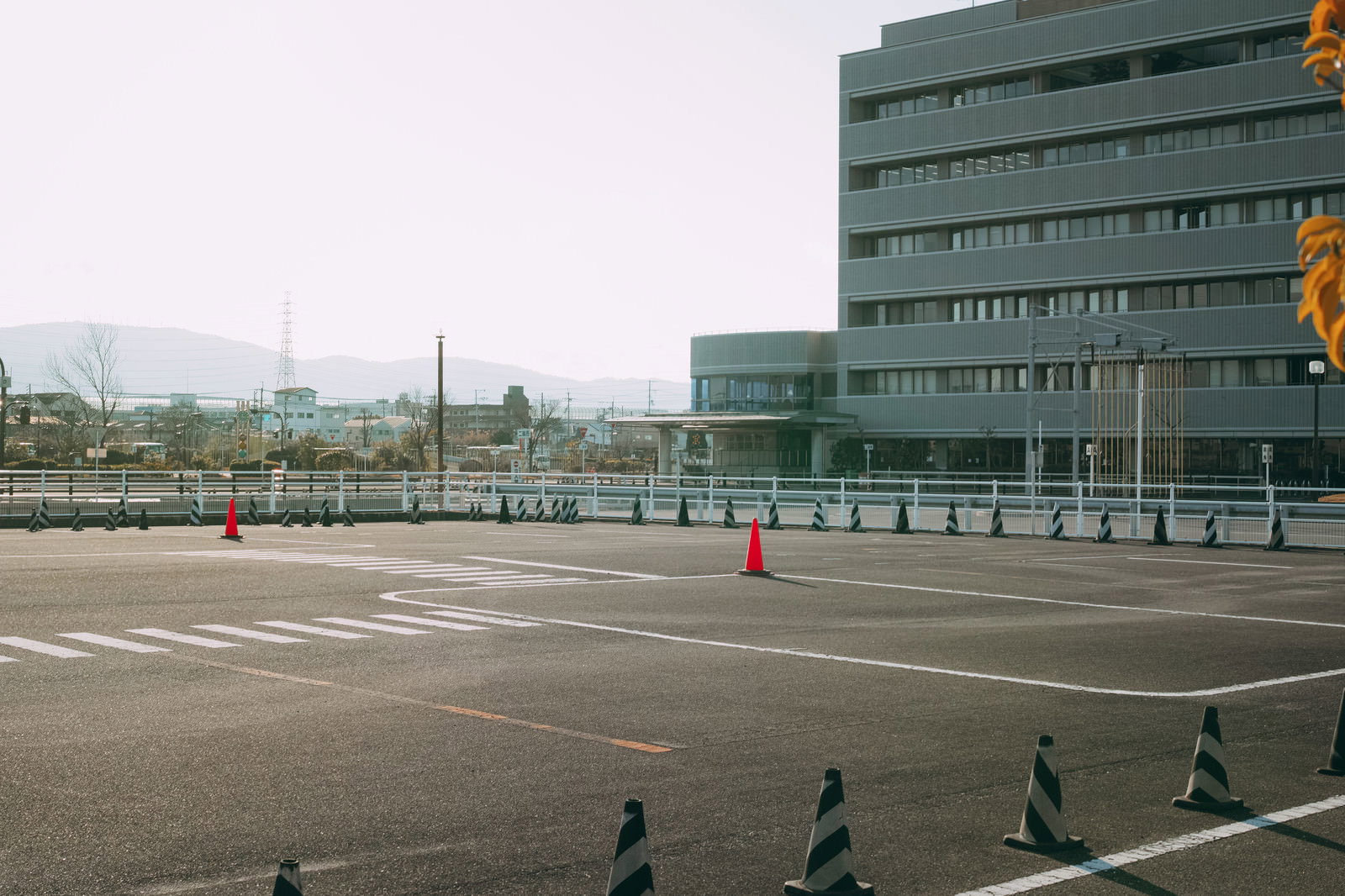 問真運転免許試験場の運転コース、白線が引かれたアスファルト