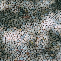 庭に敷き詰められた玉砂利のテクスチャーの写真