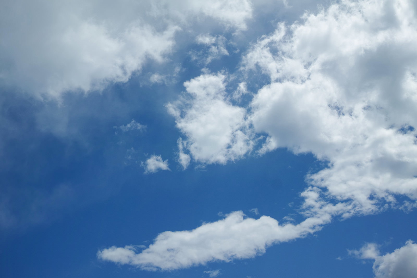 青空に白い雲が点在している空の風景